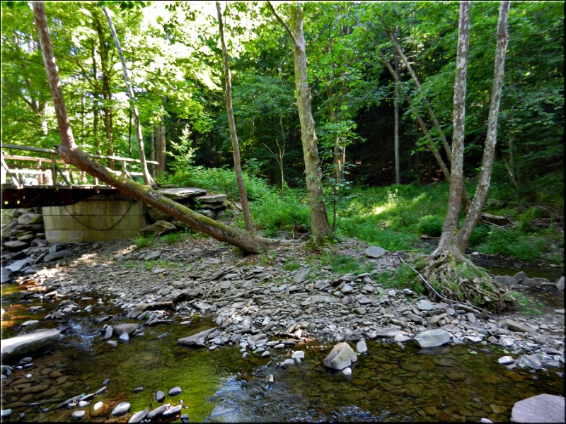 Site_22_7_12.jpg - July 2012: Raising the bridge several times, periodic flooding, has wiped out Campsite 22. 