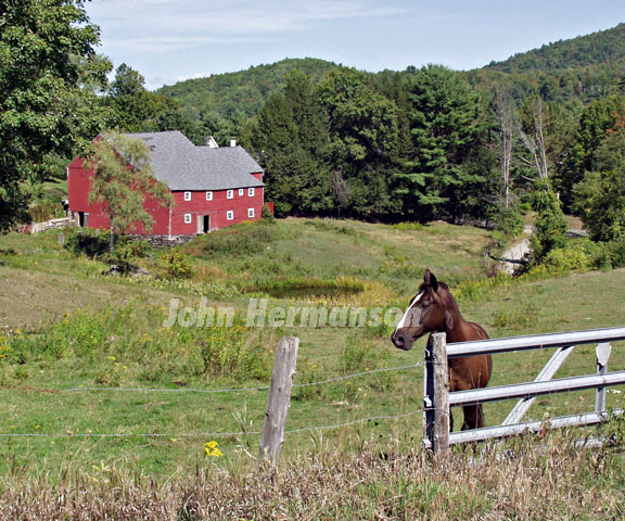 Barn-and-horse.jpg - Lyme, New Hampshire