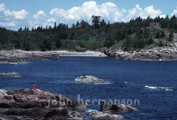 Maine-coast.jpg