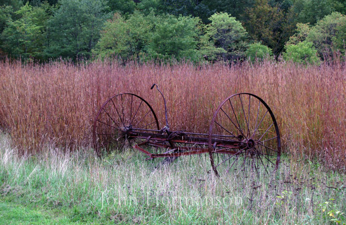 Rusty.jpg - Near Equinunk, PA