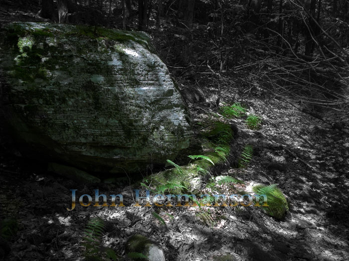 b&w-rock.jpg - Next to our regular campsite in Equinunk, PA.