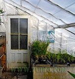 greenhouse